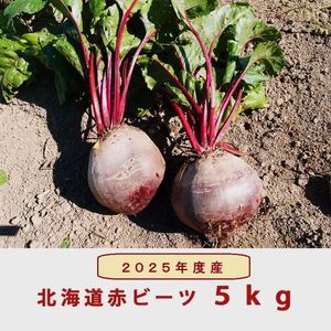北海道産 赤ビーツ (栽培期間中農薬無使用)5kg 2025年産品