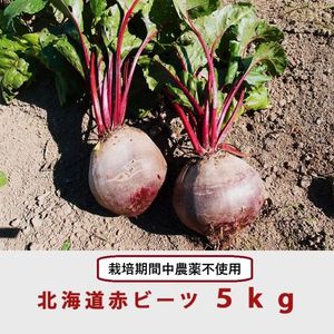 北海道産 赤ビーツ （栽培期間中農薬無使用）5kg 2026年産品 | 北海道
