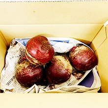 ̳ƻ ֥ӡ ʺݴ̵ѡˣkg 2025ǯ