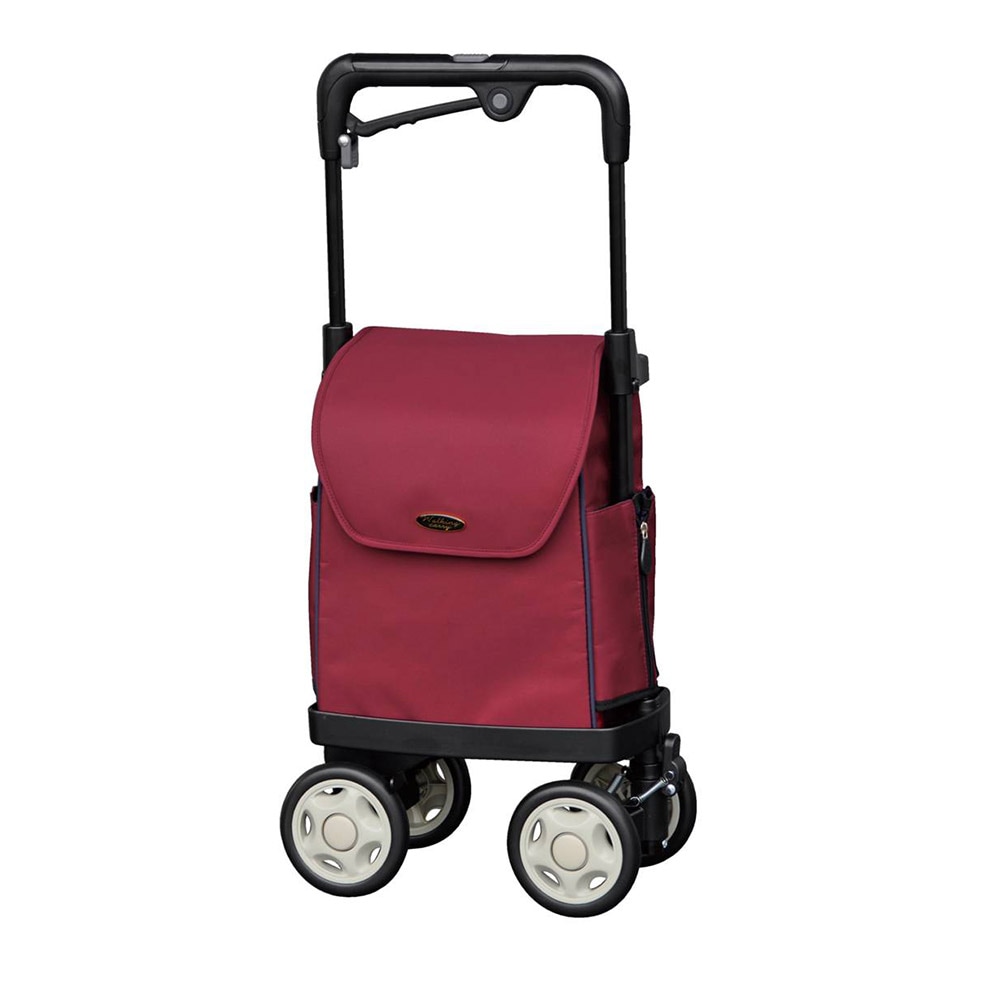 アイカート ネオ ワイン