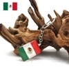 メキシコ キーホルダー 国章 メキシコ国旗 メキシコ 雑貨 キーチャーム キーリング おしゃれ mexico メキシカン メキシコ雑貨|新商品情報