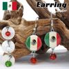 メキシコ 国旗 ピアス 全3色 ゆらゆら レッド グリーン ホワイト キラキラ アクセサリー ビーズ フックピアス 国旗 MEXICO フラッグ 旗 おしゃれ かわいい シンプル メキシカン グッズ 