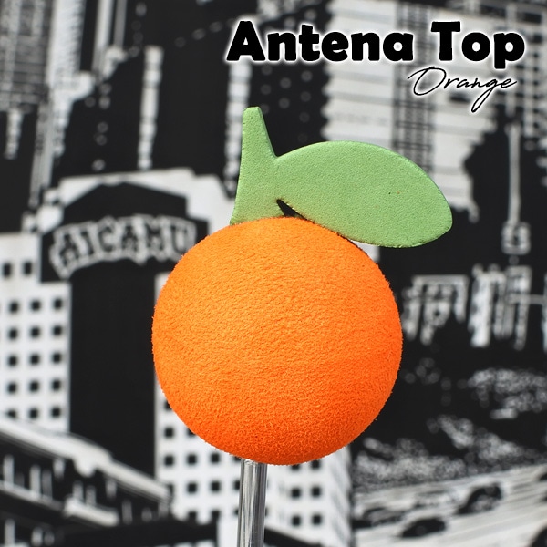 公式】西海岸カリフォルニア直輸入雑貨AICAMU