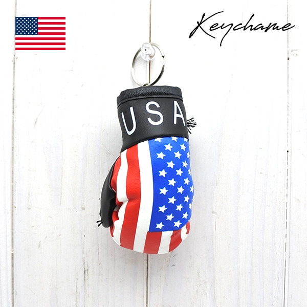 アメリカ直輸入 キーホルダー 国内在庫 USA グローブ キー