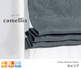 ���쥬��Ȥʥ���ܥ��ù���ܤ����ܥ��˥�������1��׸����֥륷�����ɡ֥���ꥢ�ץ������֥롼