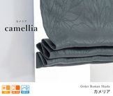 �����ΤΤߡۥ��쥬��Ȥʥ���ܥ��ù���ܤ����ܥ��˥�������1��׸������ޥ󥷥����ɡ֥���ꥢ�ץ������֥롼���㤤�ؤ��ѡ�