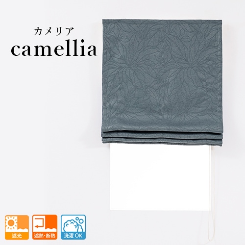 �����ΤΤߡۥ��쥬��Ȥʥ���ܥ��ù���ܤ����ܥ��˥�������1��׸������ޥ󥷥����ɡ֥���ꥢ�ץ������֥롼���㤤�ؤ��ѡ�