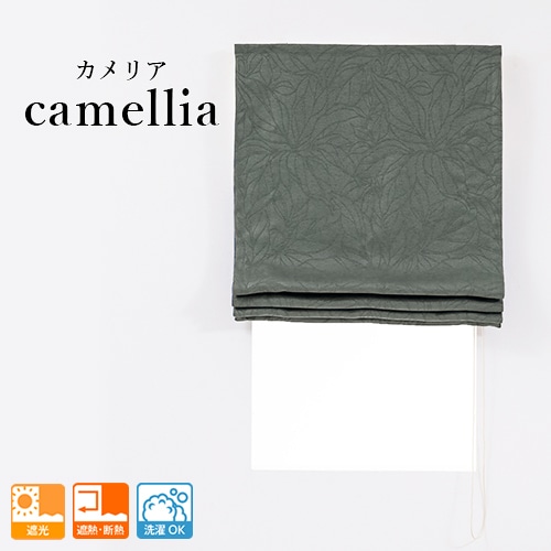 �����ΤΤߡۥ��쥬��Ȥʥ���ܥ��ù���ܤ����ܥ��˥�������1��׸������ޥ󥷥����ɡ֥���ꥢ�ץ��㥳���륰�졼���㤤�ؤ��ѡ�