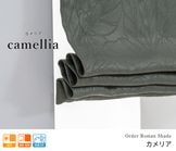 �����ΤΤߡۥ��쥬��Ȥʥ���ܥ��ù���ܤ����ܥ��˥�������1��׸������ޥ󥷥����ɡ֥���ꥢ�ץ��㥳���륰�졼���㤤�ؤ��ѡ�