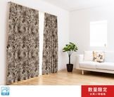 ���̸���Ǥ��㤤�����ʤΥɥ졼�ץ����ƥ� CT3040GY ���졼