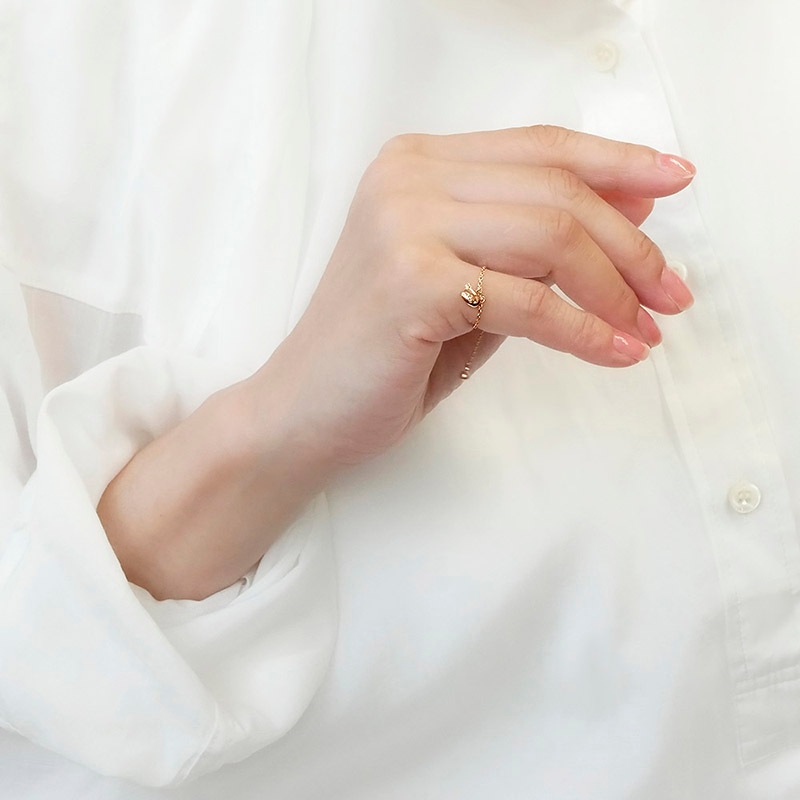 å ե꡼    饯 С ꡼