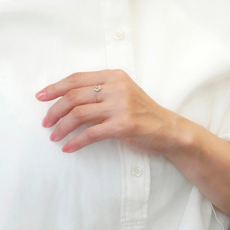 å ե꡼    饯 С ꡼