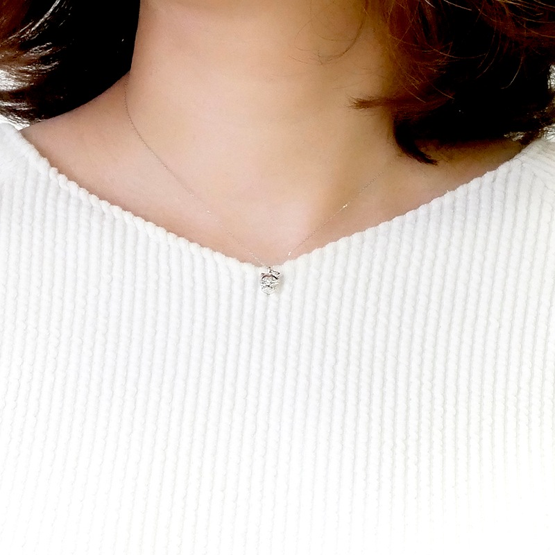 �ϥ������ƥ� �ץ���� ��������� �ץ��ͥå��쥹  ��� ���� ���奨�꡼���ڼ��������ۡ�