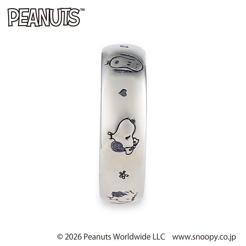 PEANUTS�����̡��ԡ� �֥饶�� �ե���������С���� �ڤ��Ϥ���10����
