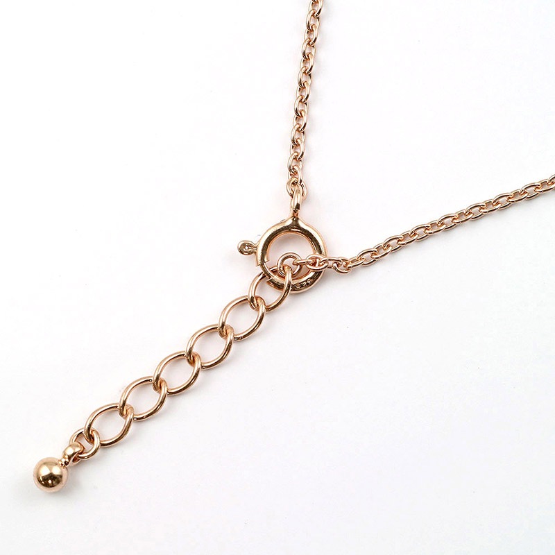 ߤå餷 Ȥ & Ȥʪ˥֥쥹å  ǥ奨꡼ ꡼ Ԥ