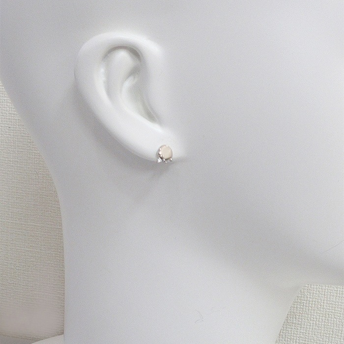 �ࡼ�ߥ� ����С� ���奨�꡼ ���꡼�����ࡼ�ߥ�������� �ԥ�����