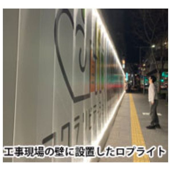 タナカ金物プロ-富士倉 FRL-W20M-W LEDロープライト 両面発光 20M