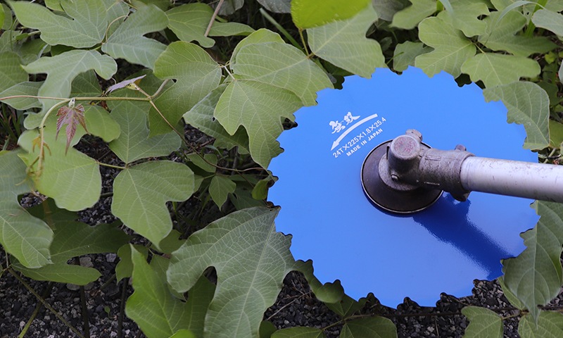 タナカ金物プロ-三陽金属 無双 つる草の達人 225X24X1.8mm 0342 （青