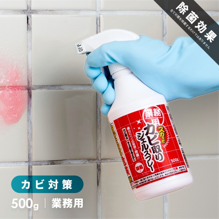 ��̳�ѥ����äȥ��Ӽ�ꥸ���륹�ץ졼