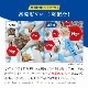 ���꡼�˥󥰲�����Υ��ꤽ������ ������ 5����