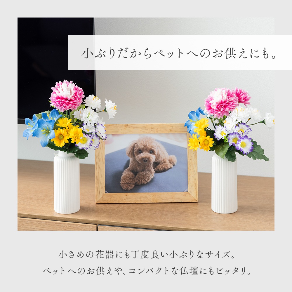 ���衦ʩ���� �������� 2«�� 20cm������