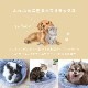 �դ�դ�٥å� �ڥå��� ���ȥ饤����