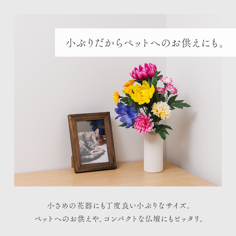 ���衦ʩ���� �������� 2«�� 30cm������