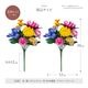 ���衦ʩ���� �������� 2«�� 30cm������