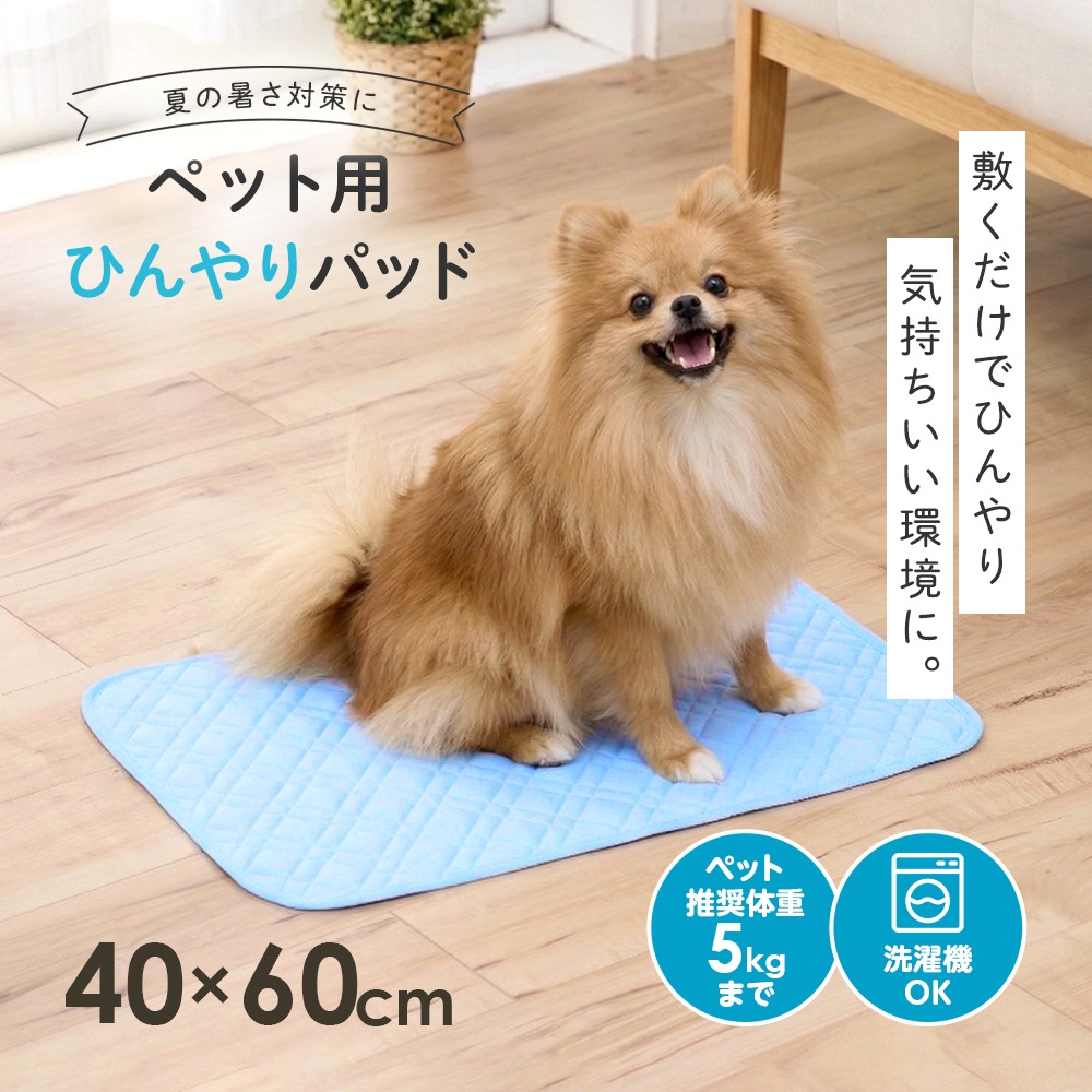 �ڥå��ѤҤ���ѥå� 40��60cm