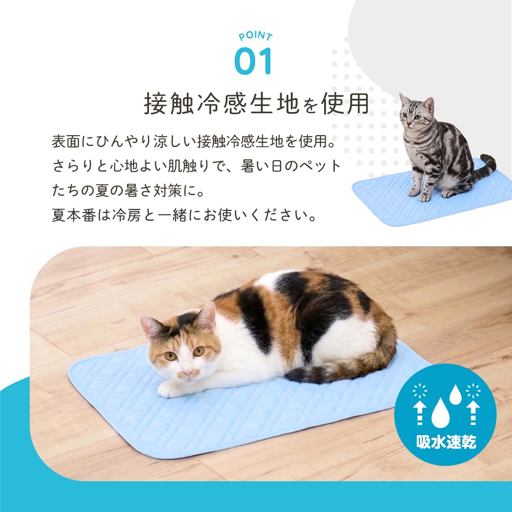 �ڥå��ѤҤ���ѥå� 40��60cm