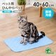 �ڥå��ѤҤ���ѥå� 40��60cm