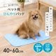 �ڥå��ѤҤ���ѥå� 40��60cm