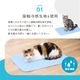 �ڥå��ѤҤ���ѥå� 40��60cm