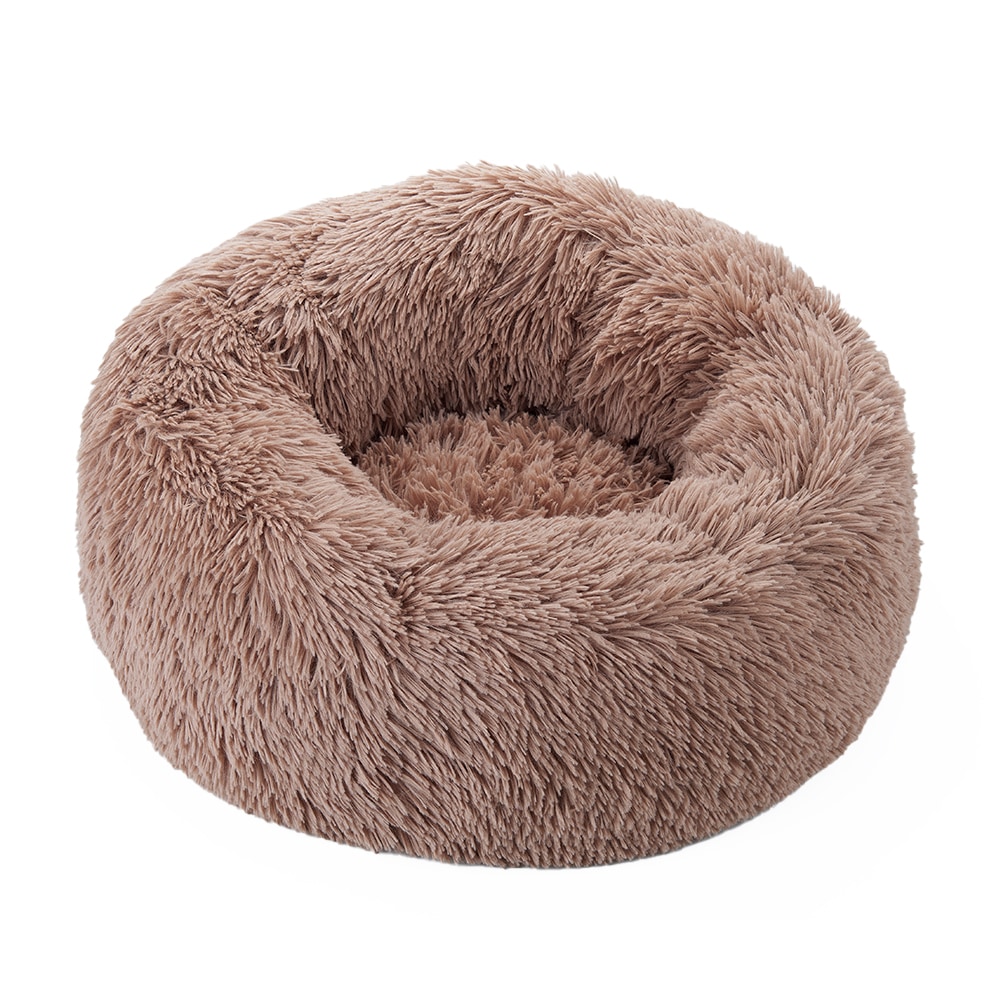 �դ�դ�٥å� �ڥå���