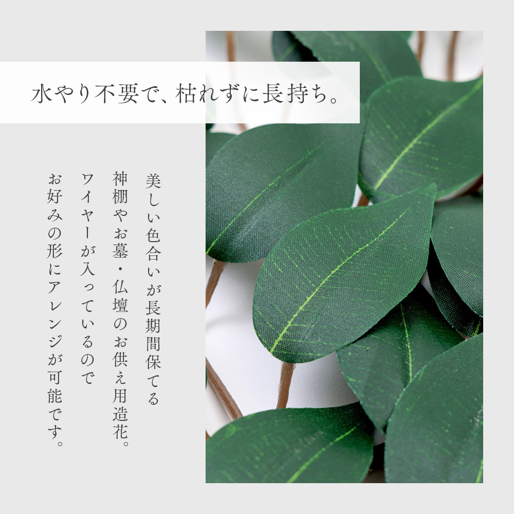 ��ê�Ѻ� 2«���� 30cm