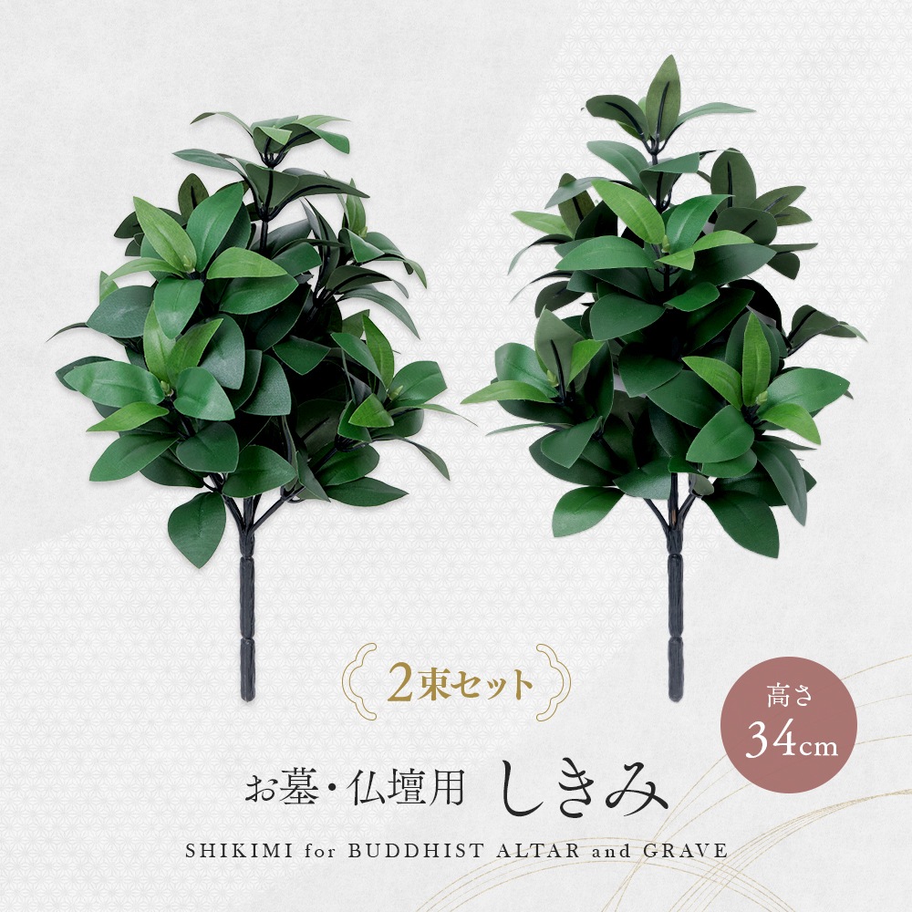 ���衦ʩ���� ������ 2«����