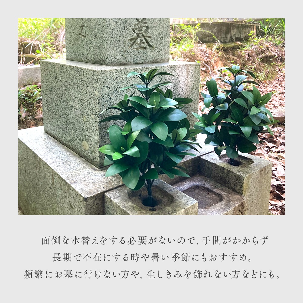 ���衦ʩ���� ������ 2«����