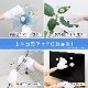 �ۥ��ꡦ������磻�ѡ����� 15����