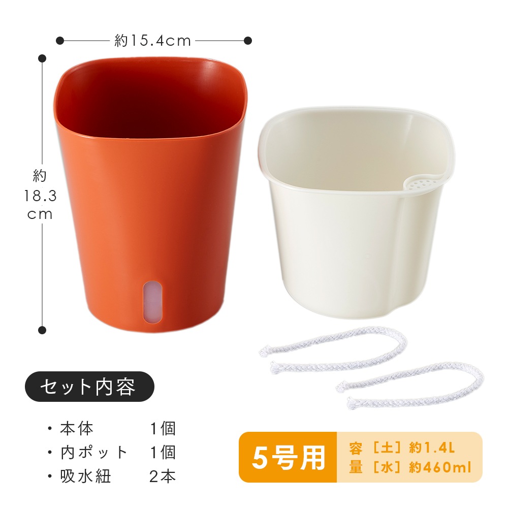 ������������ȭ 5����