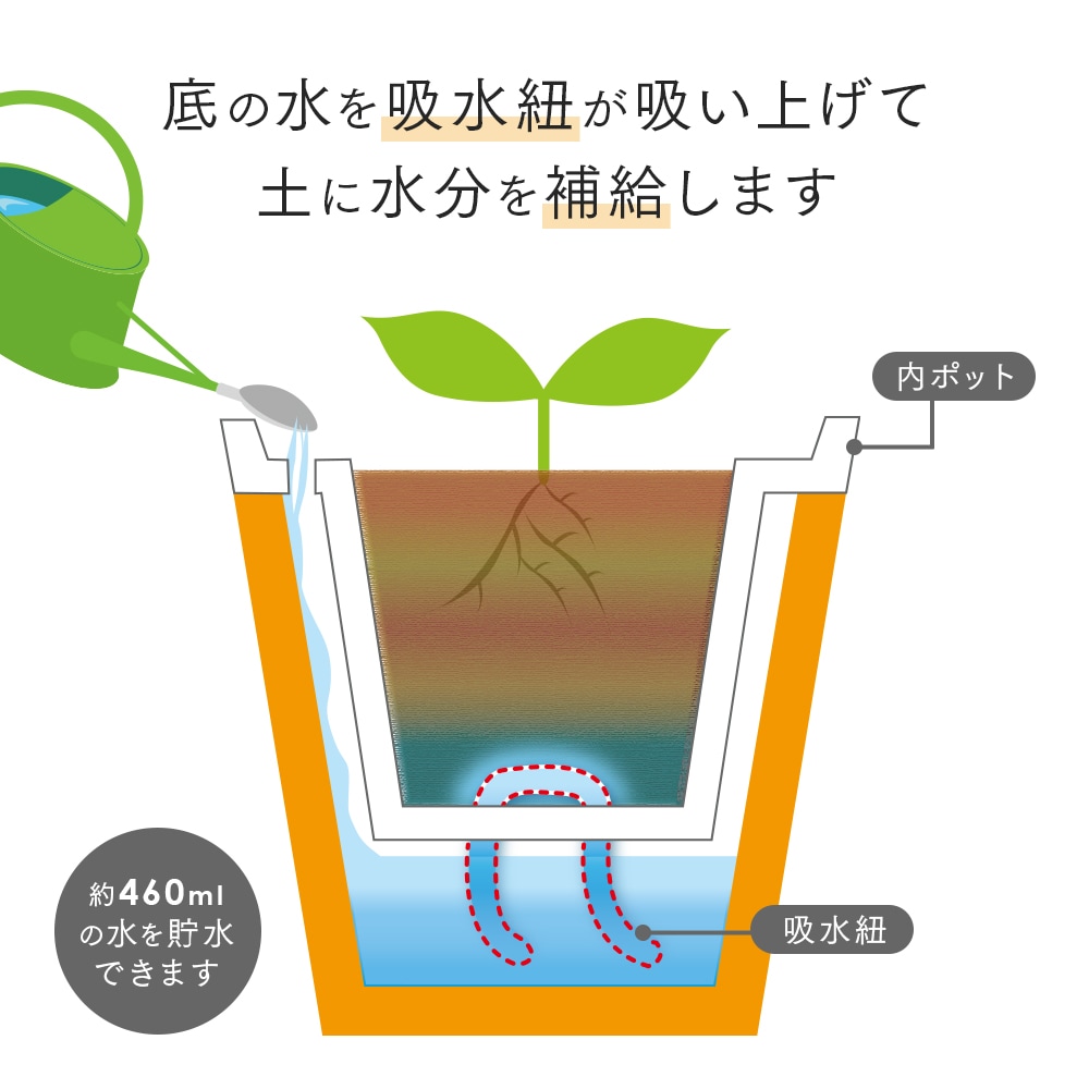 ������������ȭ 5����