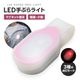 LED��֤�饤��