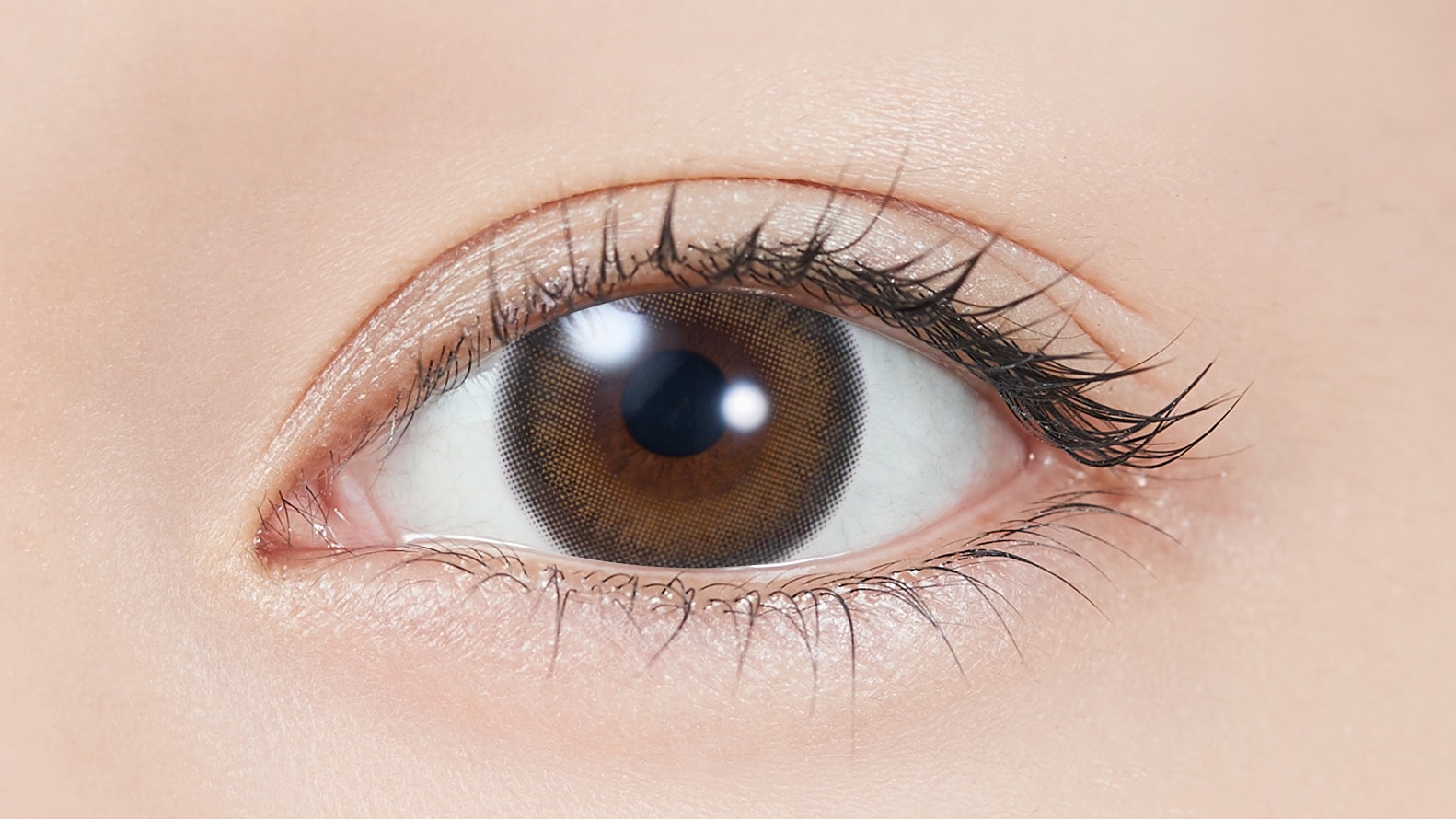 トパーズ ワンデー ココトパーズ 10枚入り | Type,ワンデー | Wlens