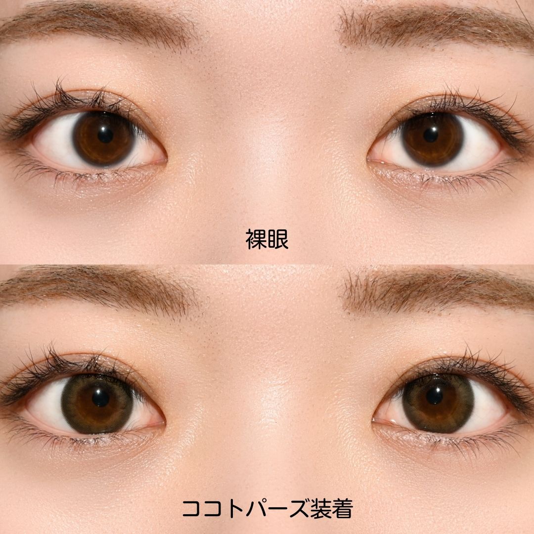 トパーズ ワンデー ココトパーズ 10枚入り | Type,ワンデー | Wlens