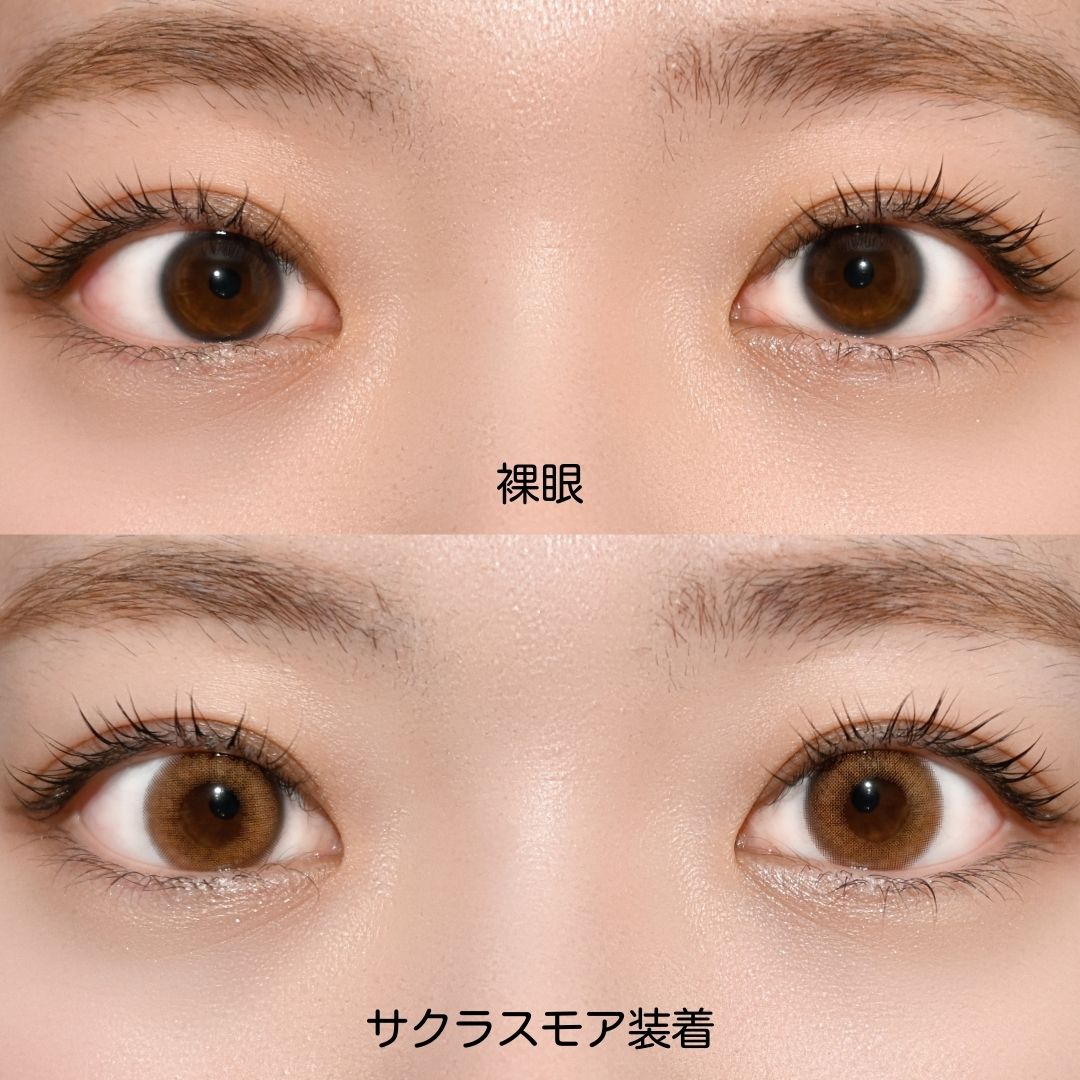 モラク ワンデー サクラスモア 10枚入り | Type,ワンデー | Wlens