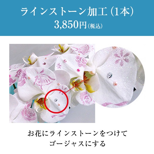 化粧蘭（三本立）完全受注生産（配送準備5日前後）