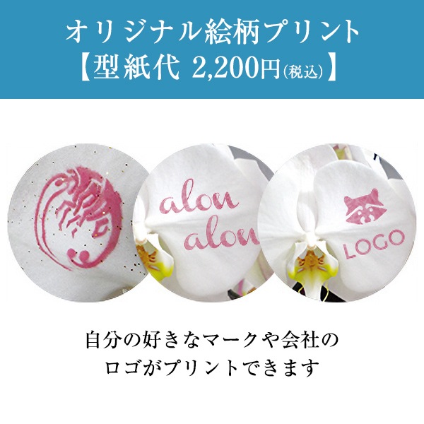 化粧蘭（三本立）完全受注生産（配送準備5日前後）