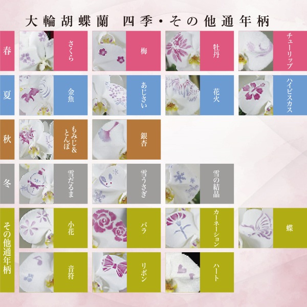 化粧蘭（五本立）完全受注生産（配送準備5日前後）