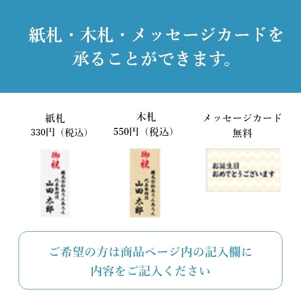 大輪の胡蝶蘭（カジュアルタイプ）一本立