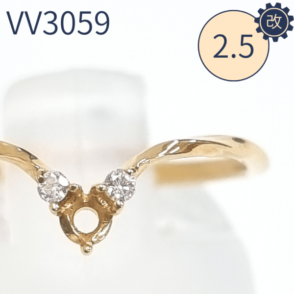 【セミオーダー加工】VV3059加工　みっちー