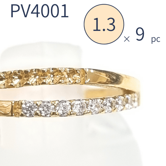 PV4001